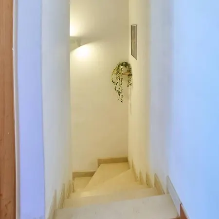 Urban Vibe לאגוּ‏ש